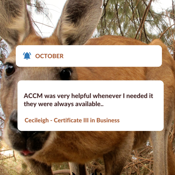 October winner, Cecileigh, says ACCM was very helpful when never I needed it they were always available. Kangaroo looking into the camera
