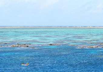 QLD Subsidised Training