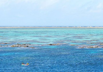 QLD Subsidised Training